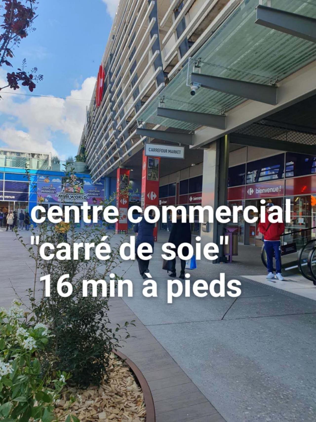 Medipole T2 Avec Un Garage Gratuit Sur Place, 16Min A Centre Ville Lyon En Metro A Віллербанн Екстер'єр фото